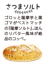 薩摩ソルト